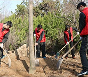 米兰(中国)志愿者义务植树